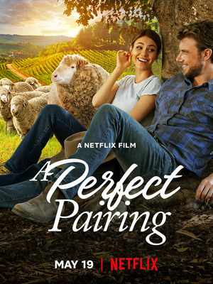 A Perfect Pairing 2022 Dubb in Hindi Hdrip
